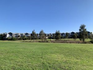 Park plans for Chirnside