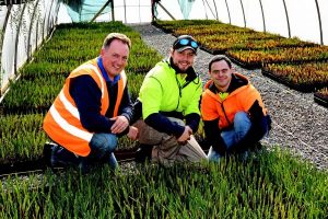 Plants with a positive impact