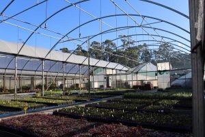 Appealing for help at Yarra View