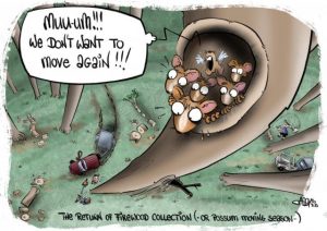 CARTOON: forest friends fear firewood