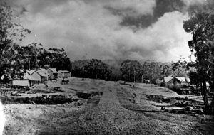 The history of Lillydale’s boy bushranger