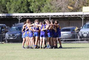 Two agonisingly close losses in tough day for Lilydale