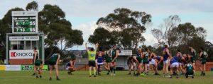 Loss, draw and a win for Lilydale