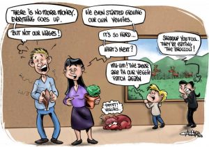 CARTOON: Overpriced lettuce