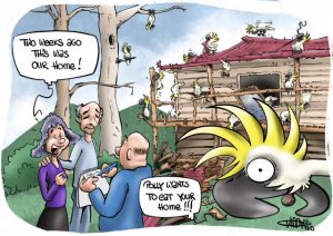 CARTOON: Bird attack