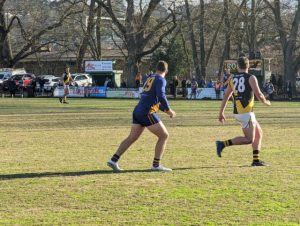 Mitcham Tigers visit the Falcons’ Nest