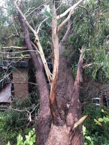 Let storm residents rebuild