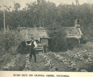 Walden Hut: hub of nature and ideas