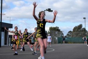 Summer’s time to shine on the netball court