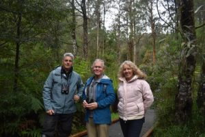 Conservationists meet in Yarra Ranges to support Great Forest National Park proposal and end to native logging