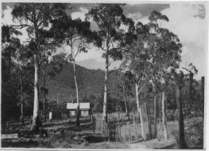 The humble beginnings of Healesville Sanctuary