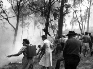 A history of fires in Mount Evelyn