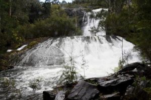 Dams nearing capacity, others overflowing
