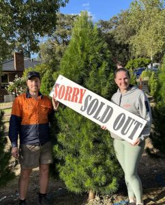 Record weekend for Christmas tree sales