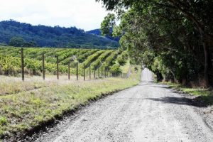 Road sealing disappointment