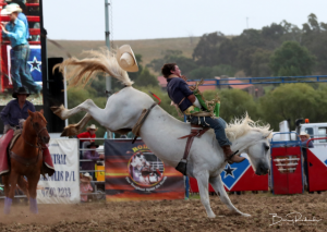 Thrills and spills of rodeo action