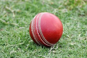 Cricket makes a new year return