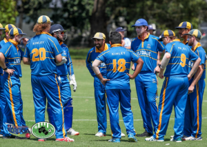 Highs, lows and T20 cricket for Lilydale