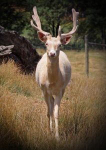 One of the High Country’s best kept secrets