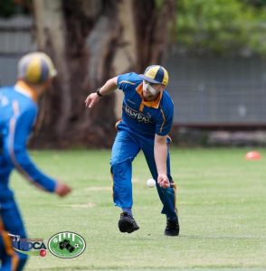 Successful weekend of cricket for Lilydale