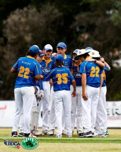 Challenges await Lilydale Cricket Club as finals approach