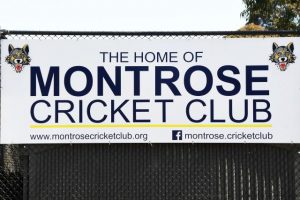 Mixed results for Wolves as they push for finals