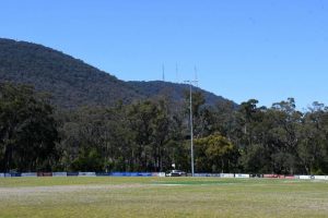 Montrose Cricket Club players make milestones