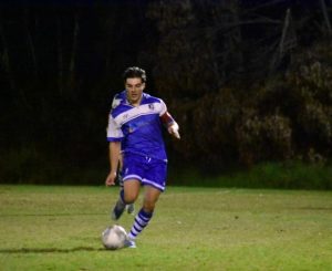 Lilydale-Montrose go down fighting