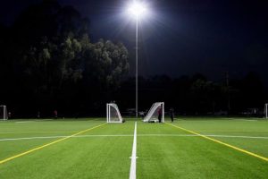 Barkers chop down Pines