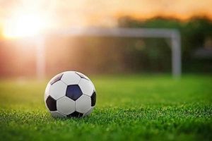 Barkerettes downed by Gippsland