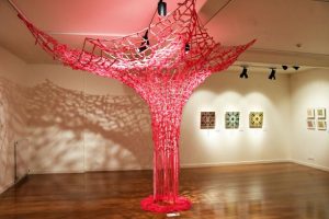 ‘Canopy’ contemplates above