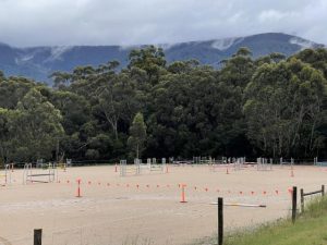Local show jumping days open for applications
