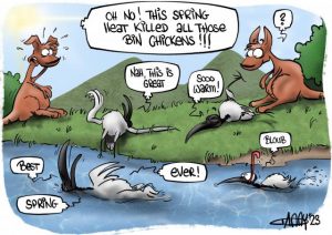 CARTOON: Spring Sun Sets In