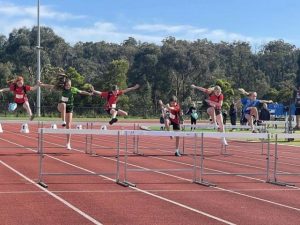 All Schools medals as athletes shine