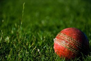 Group stage of RDCA’s T20 competition announced