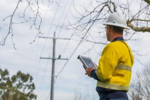 AusNet prepares early to reduce power outages in bushfire season