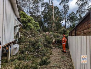 Lilydale named storm hotspot by VICSES