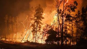 Hills firefighters trek up north