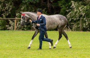 Riders of all ages on show