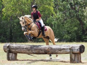 Seville Pony Club Horse Trials locked in for February