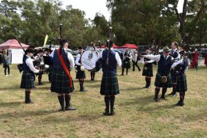 Sounds of the Isles come to Croydon