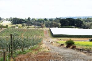 Victorian Government plan to protect Green Wedge Zones announced