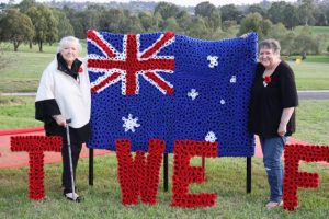 Letting the poppies tell a story