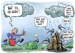 Cartoon: Fire danger lifts