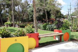 Picnic time for teddies