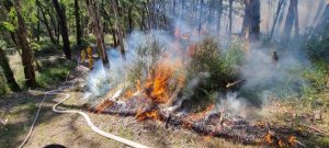 Burns set to ramp up