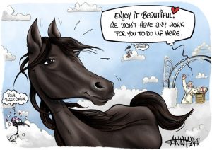 CARTOON: Goodbye, Black Caviar