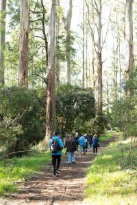 Photo walks inspire and connect from Olinda and beyond