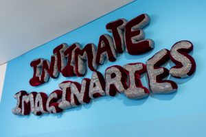 Intimate Imaginaries: The first major survey exhibition of Arts Project Australia artists in an Australian museum