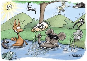 CARTOON: Billabong spa